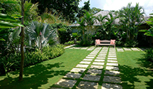 Landscaping
