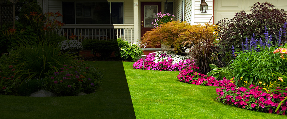 Lihue Landscapers