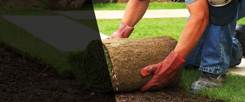 Lihue Landscapers